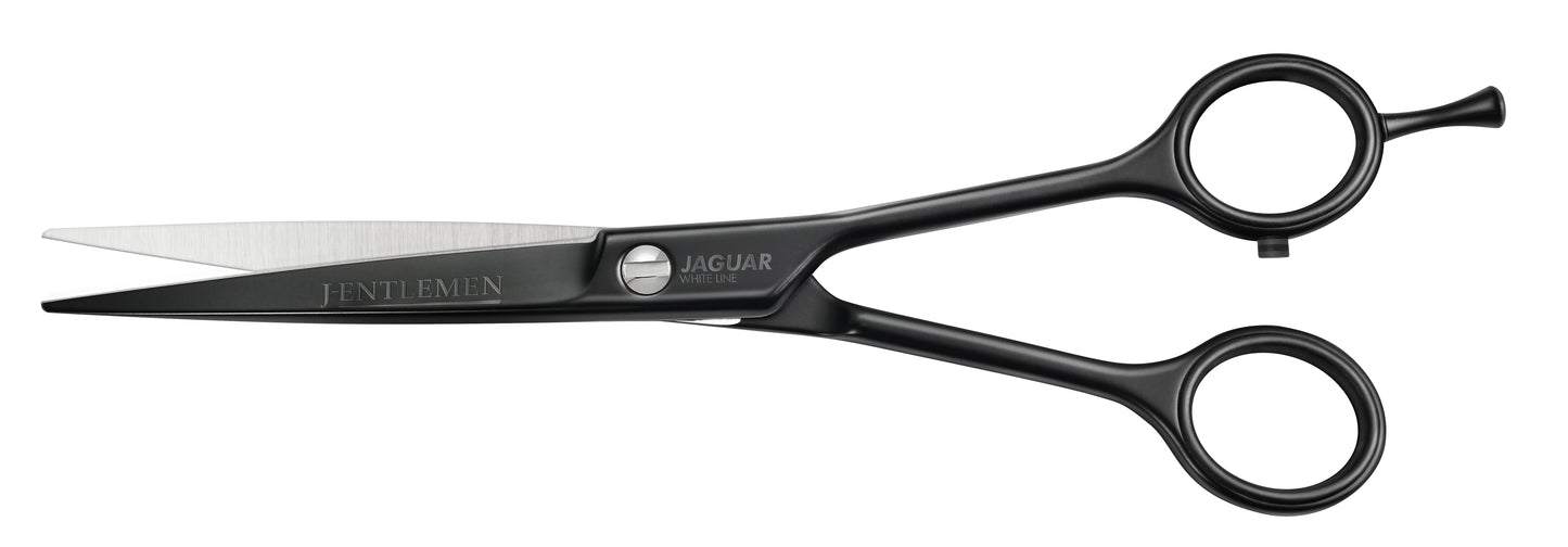 Hairdressing scissors with black handles.