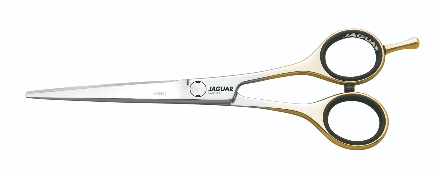 Hairdressing scissors with gold handles.