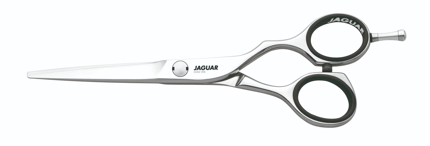 Hairdressing scissors with black handles.