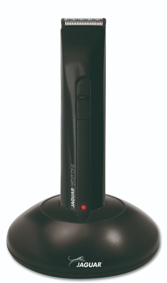 Hand holding black hair clipper.