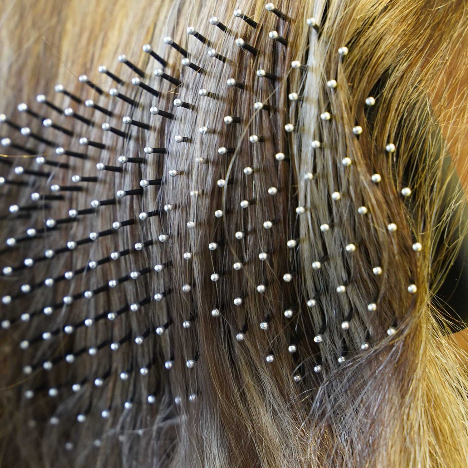 Close-up of a JAGUAR SP hairbrush detangling hair – flexible bristles with ball tips glide gently through the hair.