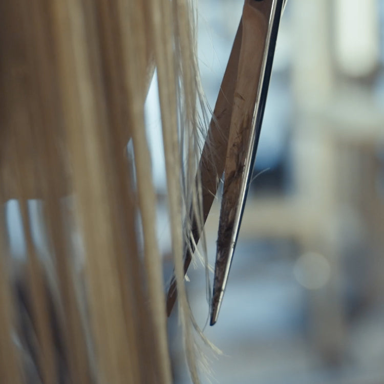Precision cutting with JAGUAR hairdressing scissors, focus on the blade tips.