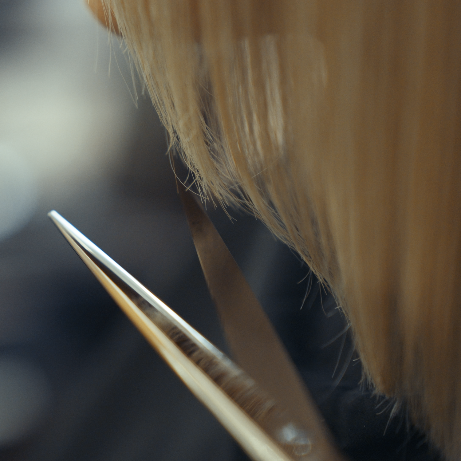 JAGUAR hairdressing scissors precisely cut the ends of blonde hair, close-up of the sharp blades.