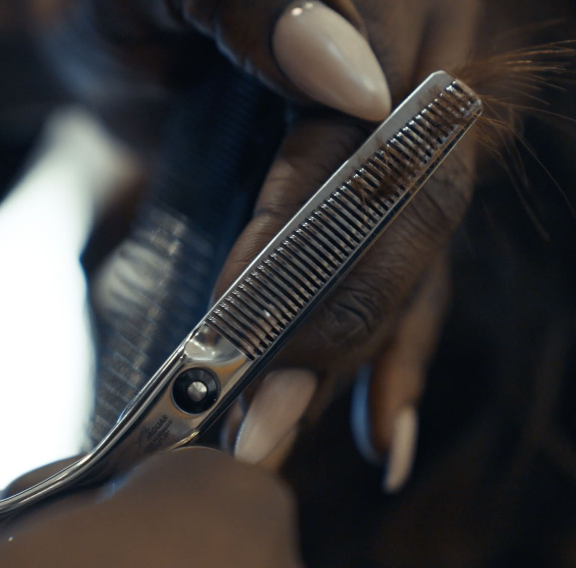 Modeling scissors in use for grading: Close-up of JAGUAR modeling scissors, which thin hair precisely and create soft transitions for a controlled, professional cutting technique.