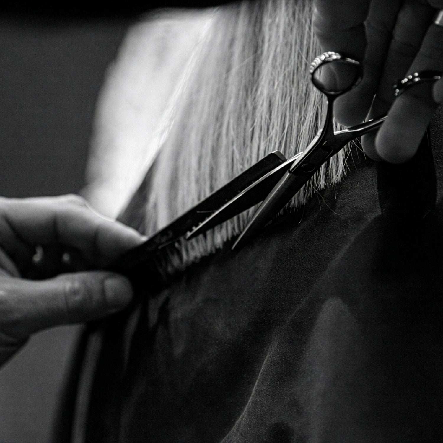 Black-and-white photograph of a precise haircut using JAGUAR hairdressing scissors and comb in a professional salon.