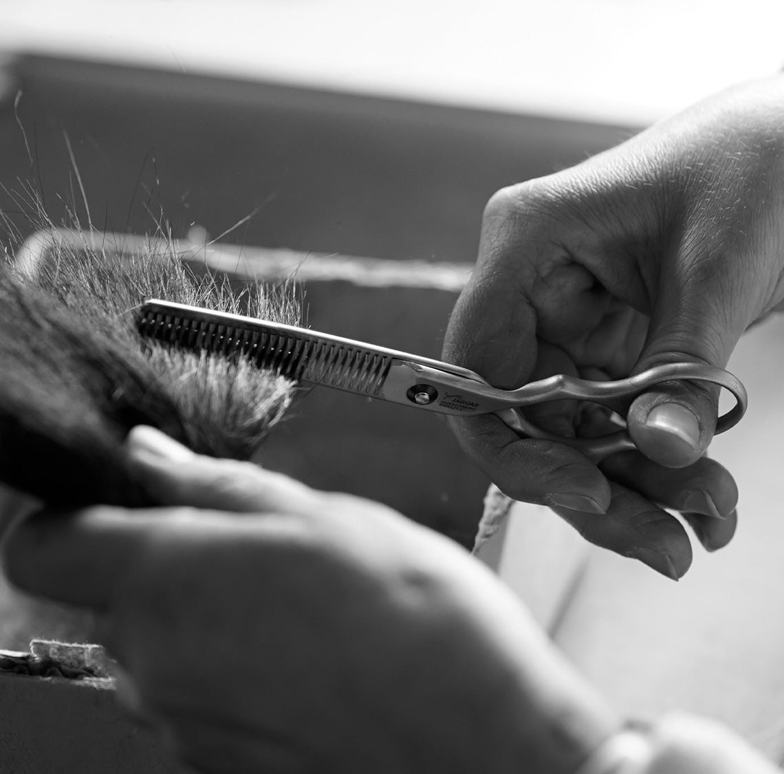 Quality control at JAGUAR Solingen: Every pair of hairdressing scissors is tested in practice – for a clean cut, perfect function, and uncompromising precision.