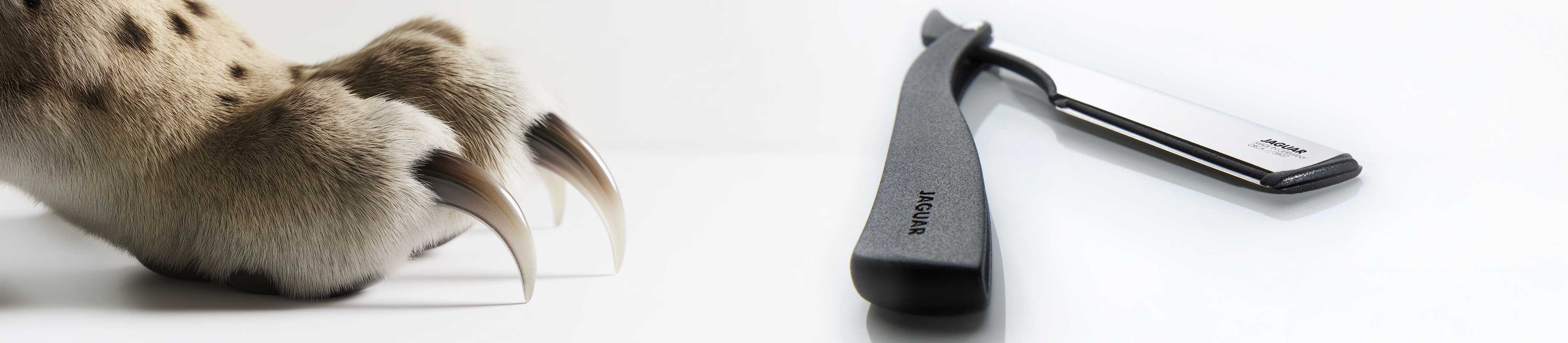 JAGUAR razor next to a jaguar paw with claws on a light background.