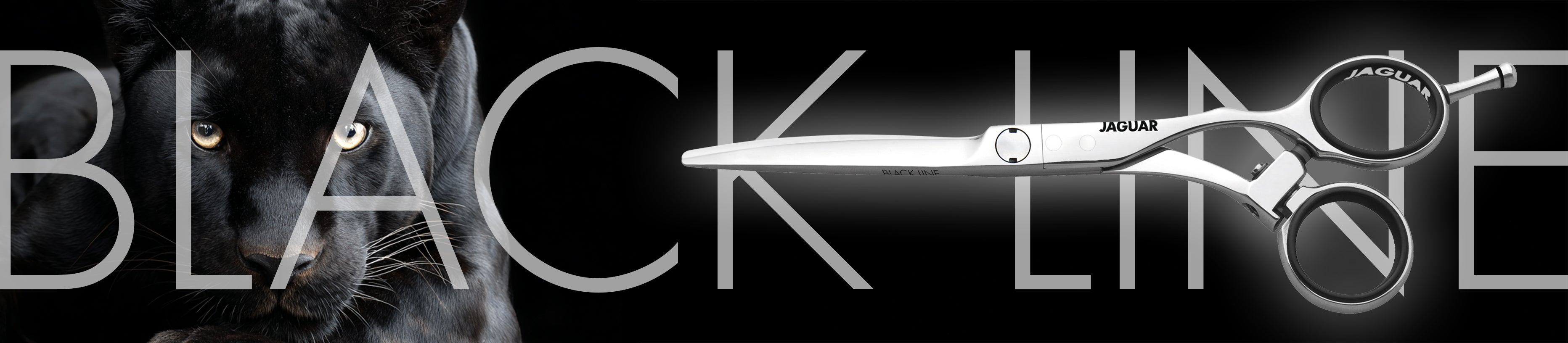 JAGUAR Black Line