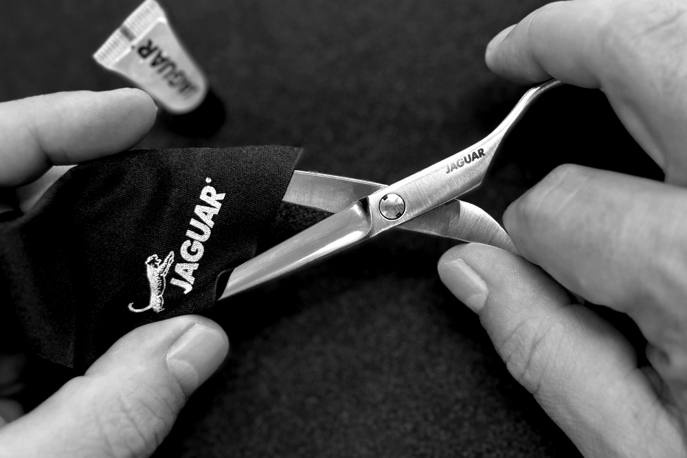 JAGUAR Pflege & Wartung