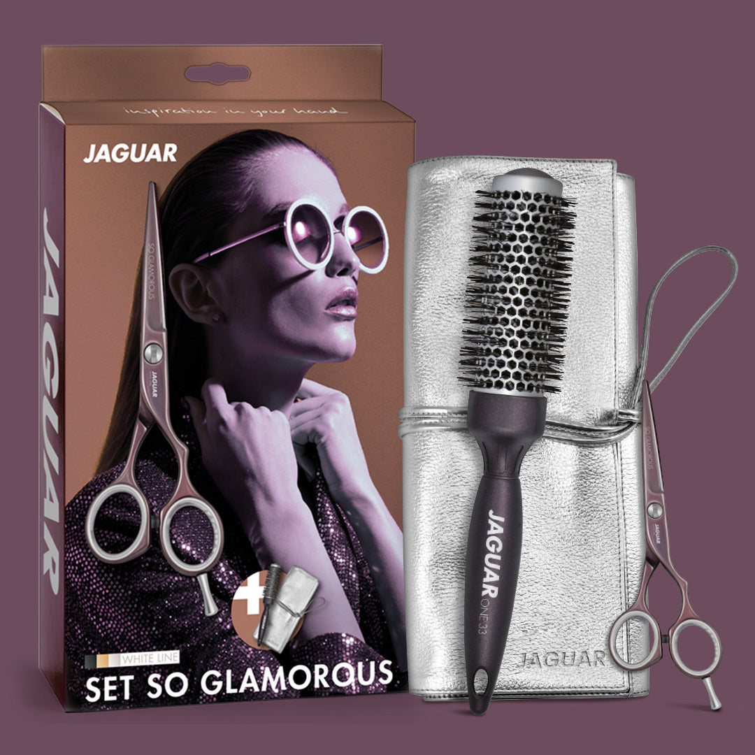 Hairdressing scissors, round brush, case, accessories.