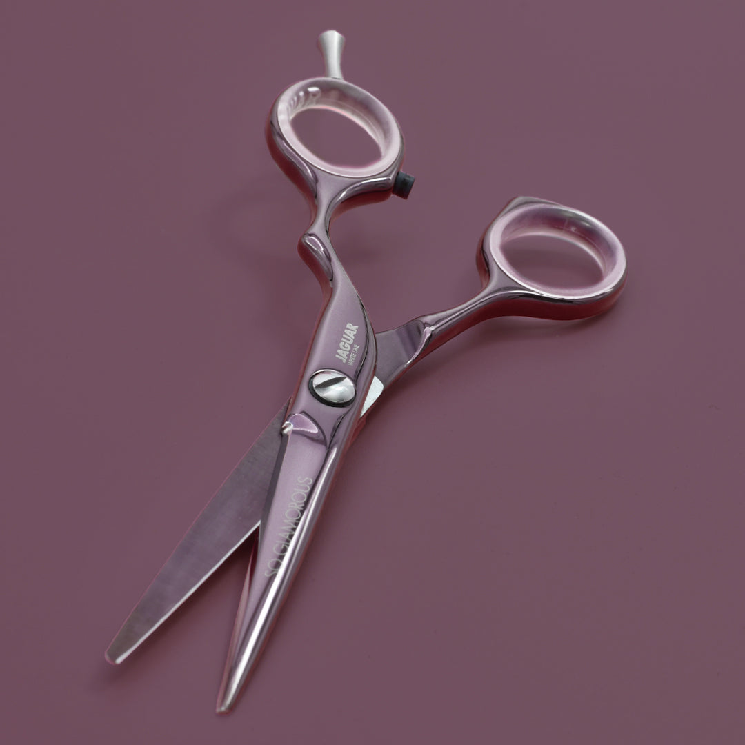 Hairdressing scissors, round brush, case, accessories.