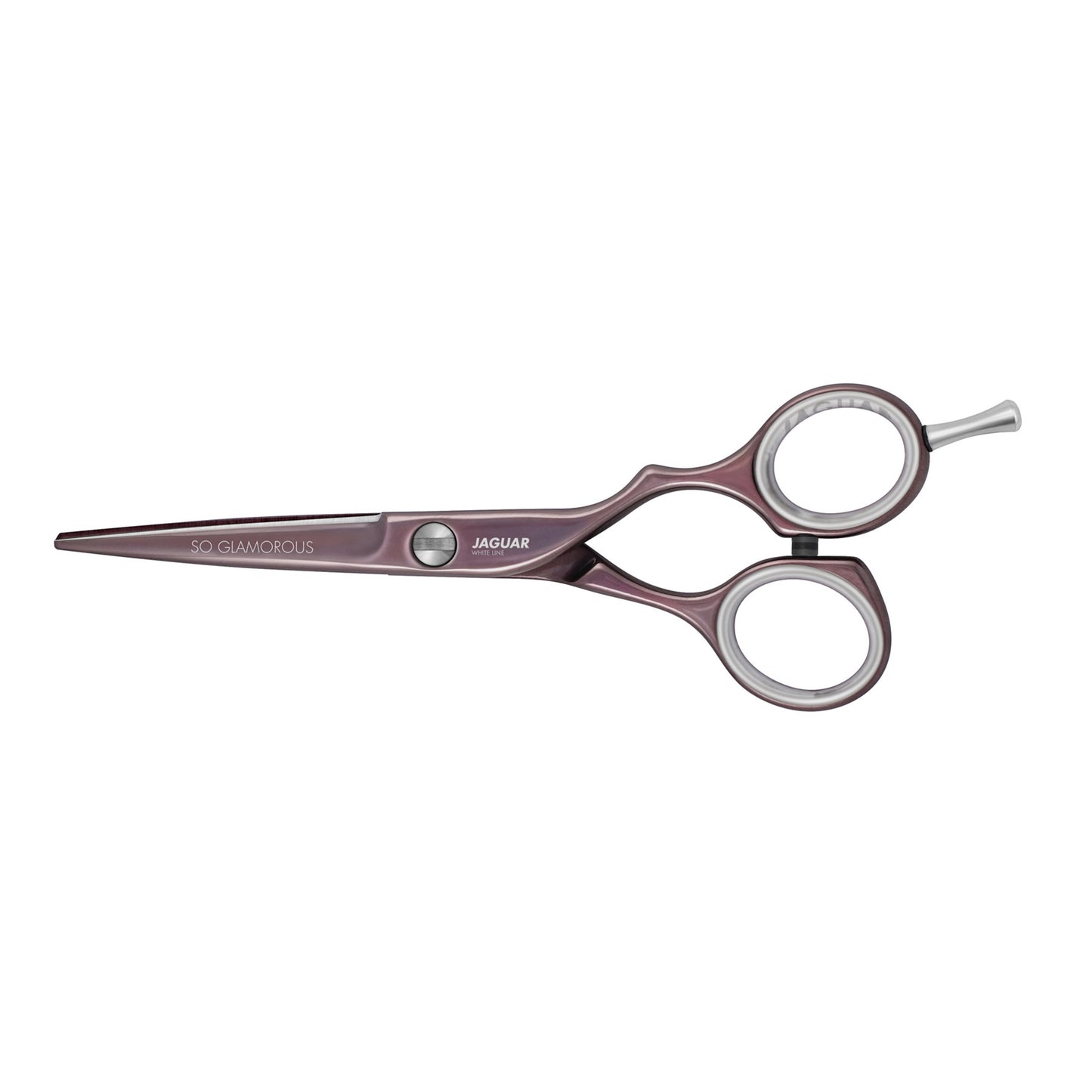 Hairdressing scissors, round brush, case, accessories.