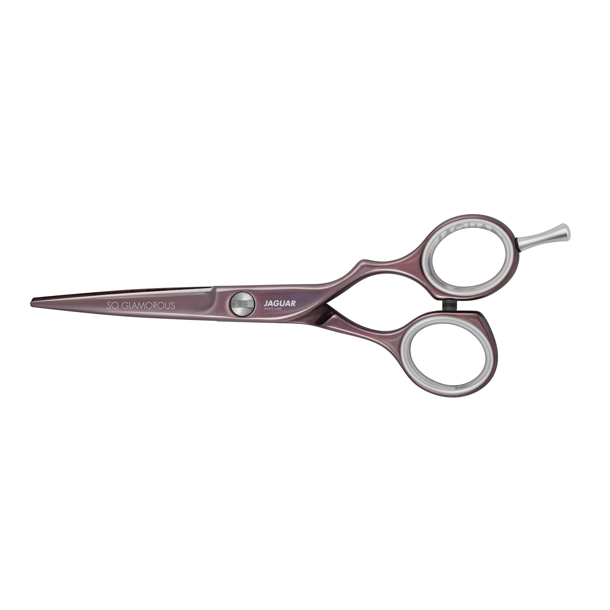 Hairdressing scissors, round brush, case, accessories.