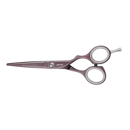 Hairdressing scissors, round brush, case, accessories.