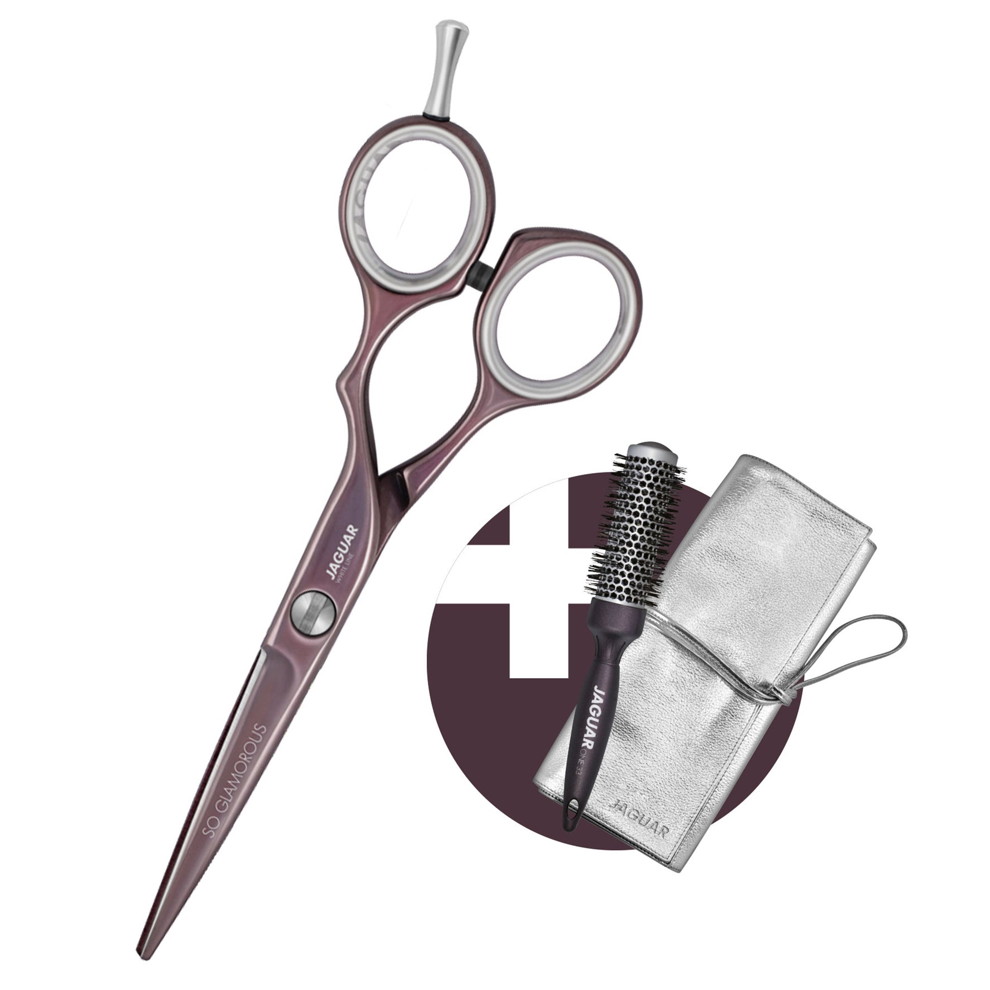 Hairdressing scissors, round brush, case, accessories.